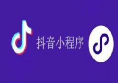 抖音小程序開(kāi)發(fā)-概述|流程|注意事項(xiàng)